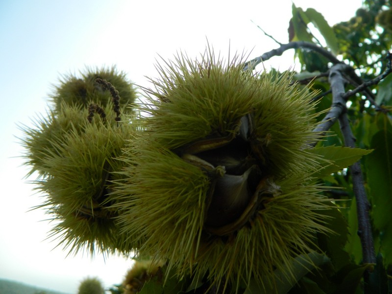 DSCN3531.JPG