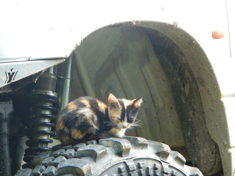 DSCN3546.JPG