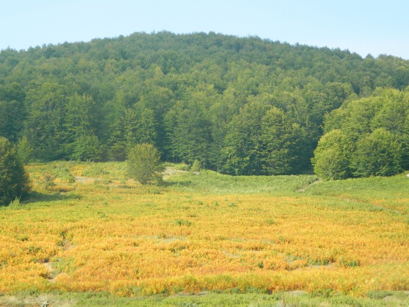 DSCN3558.JPG