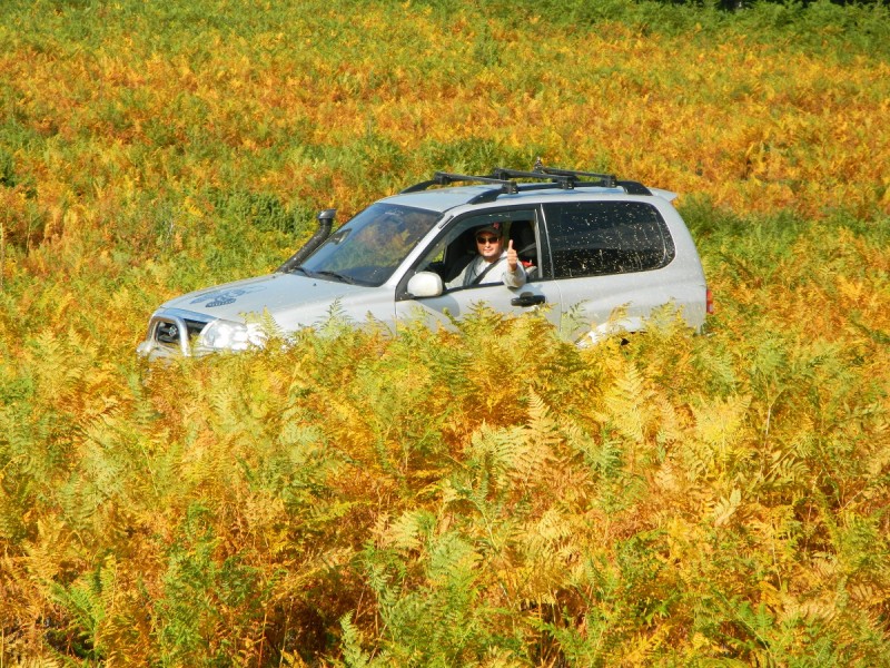 DSCN3568.JPG