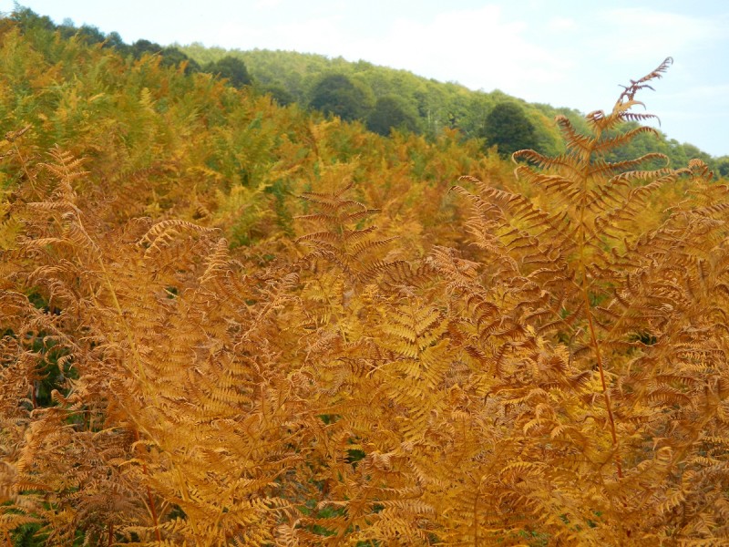 DSCN3592.JPG