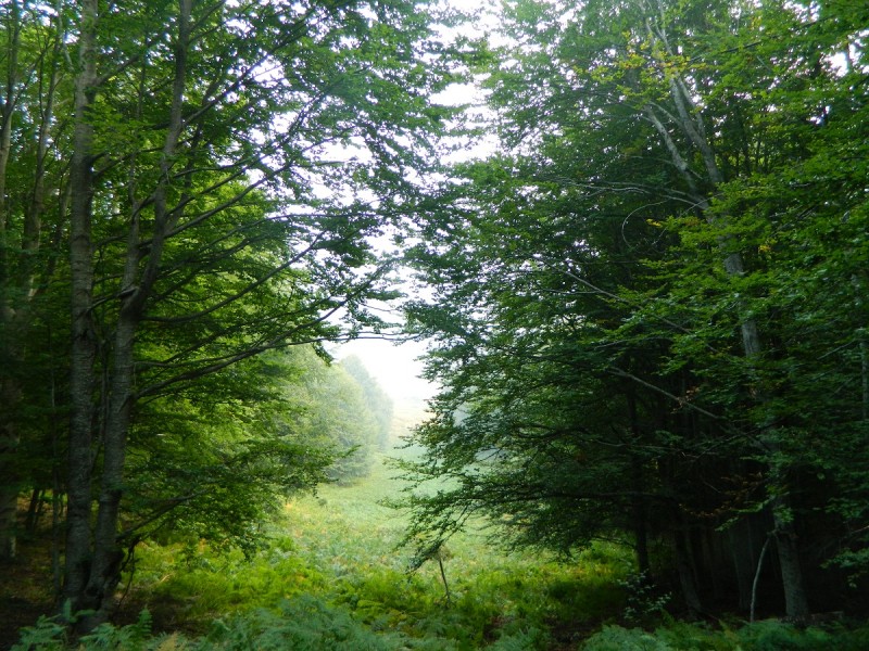 DSCN3615.JPG