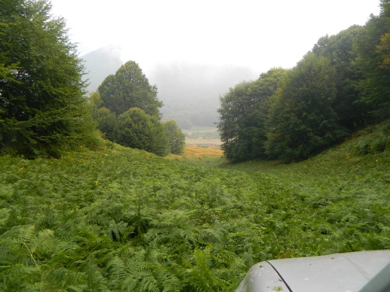 DSCN3619.JPG