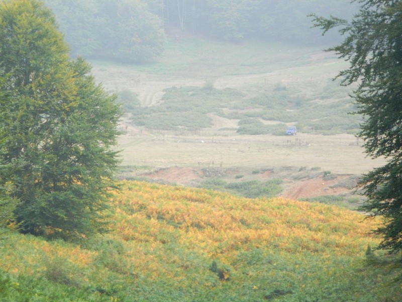 DSCN3621.JPG