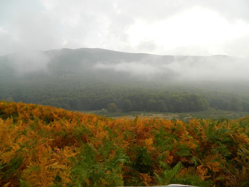 DSCN3622.JPG