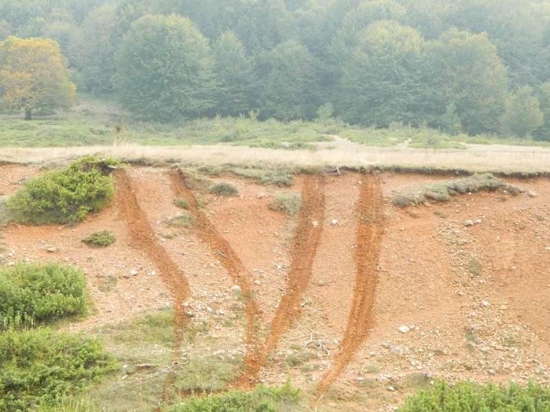 DSCN3624.JPG