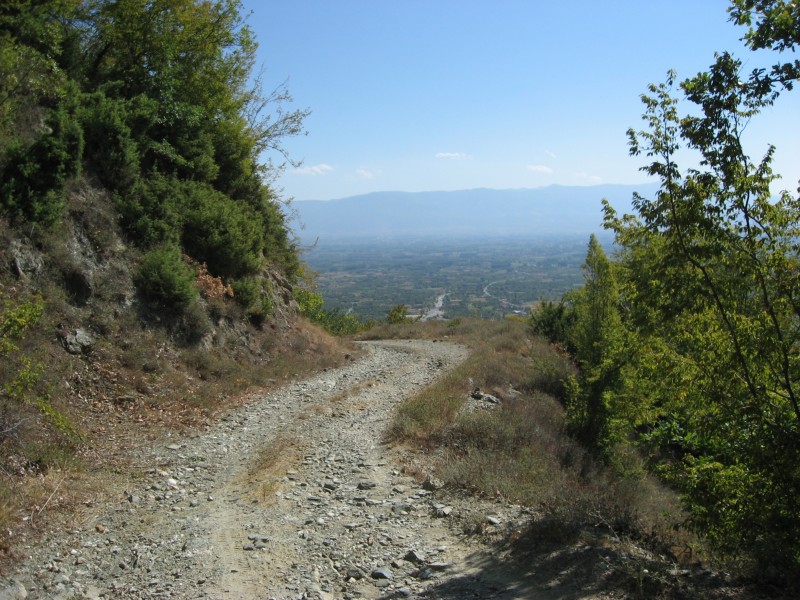 Αντίγραφο από IMG_3856.JPG