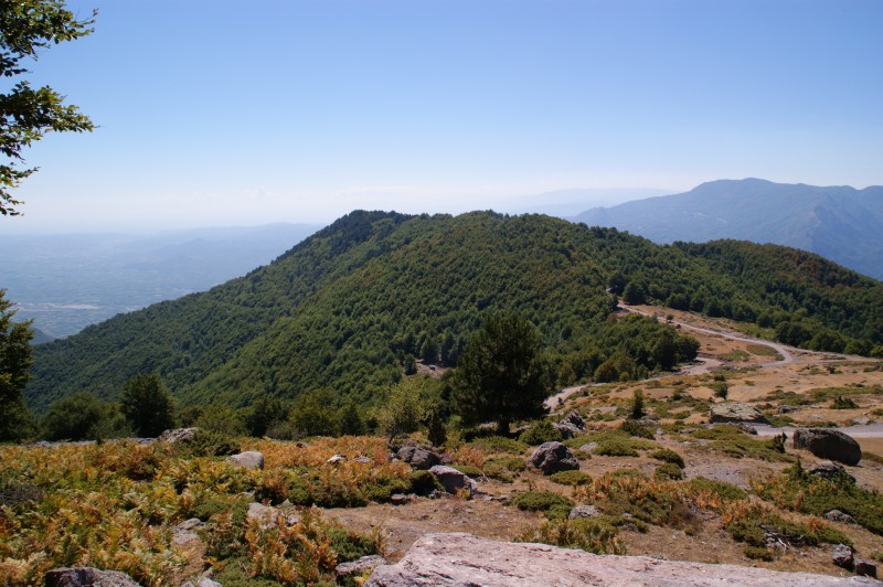 Αντίγραφο από DSC03252.JPG