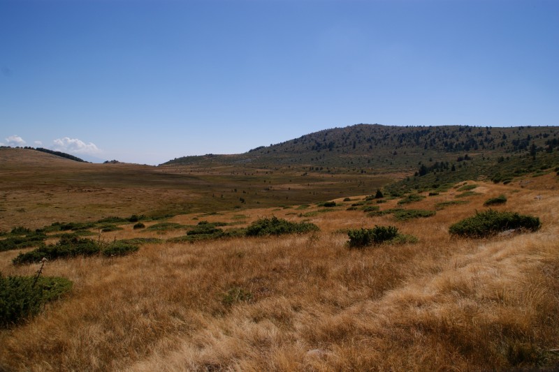 Αντίγραφο από DSC03255.JPG