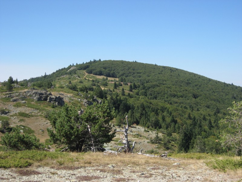 Αντίγραφο από IMG_3887.JPG