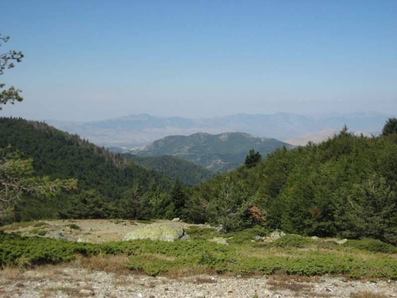 Αντίγραφο από IMG_3888.JPG