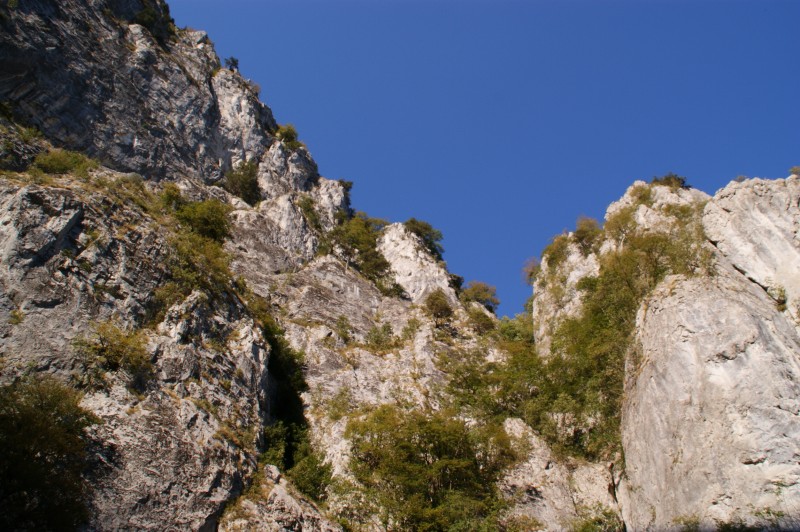 Αντίγραφο από DSC03264.JPG