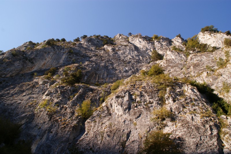 Αντίγραφο από DSC03265.JPG