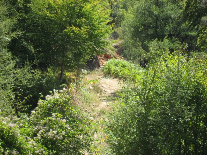 Αντίγραφο από IMG_3940.JPG
