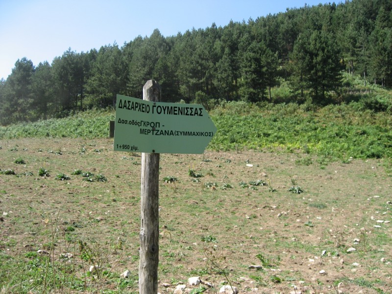 Αντίγραφο από IMG_3956.JPG