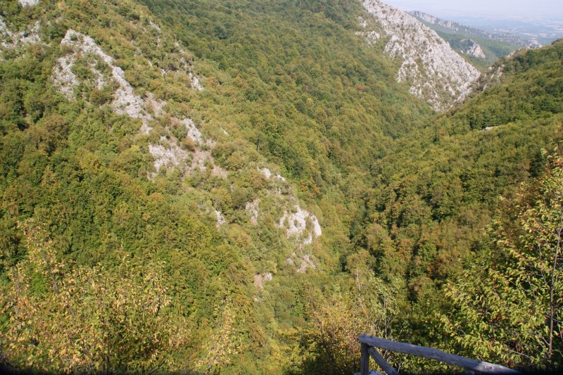 Αντίγραφο από DSC03288.JPG
