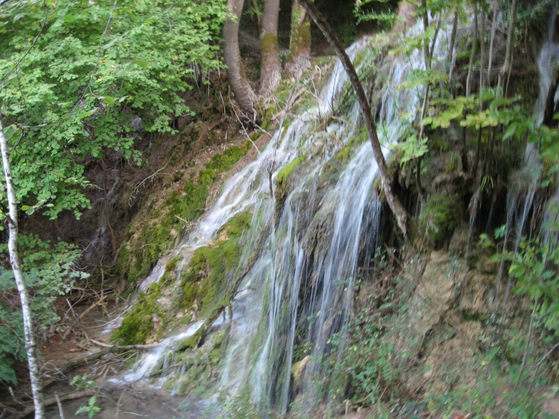 Αντίγραφο από IMG_4049.JPG