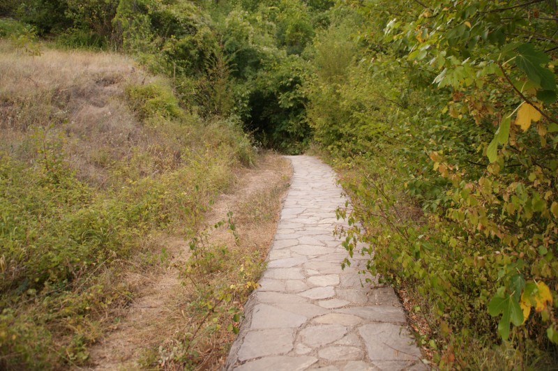 DSC03343.JPG