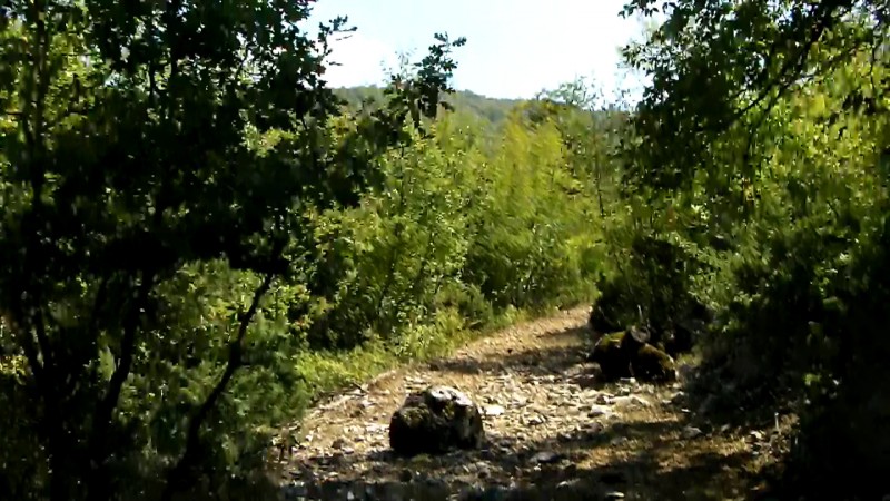 CI-144091771230251971.jpg