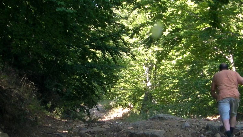 CI-94592123230251966.jpg