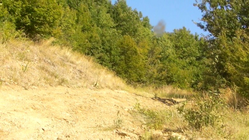 CI178247254430251961.jpg