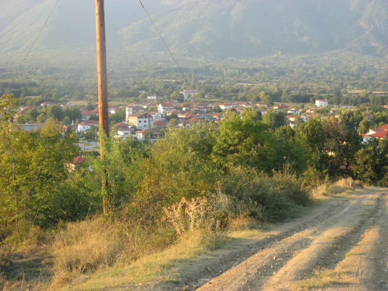 Αντίγραφο από IMG_4158.JPG