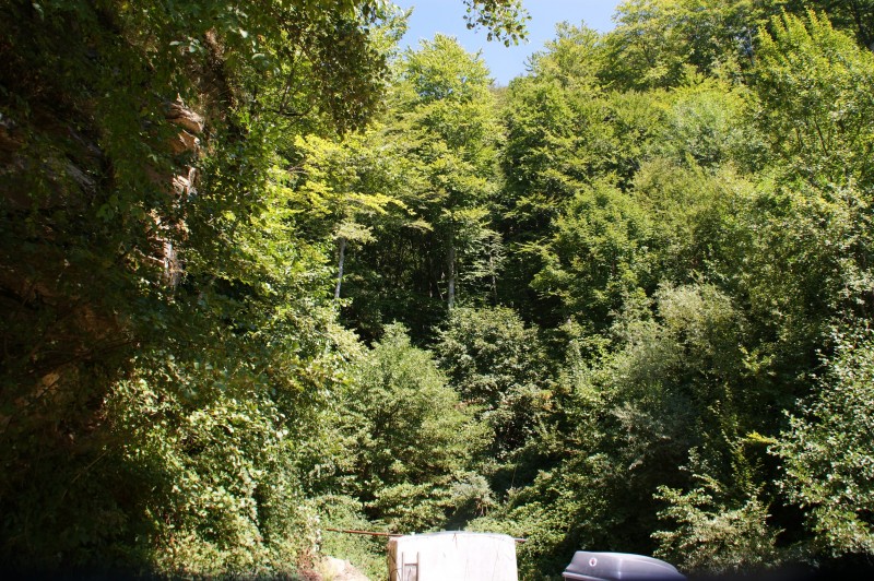Αντίγραφο από DSC03398.JPG