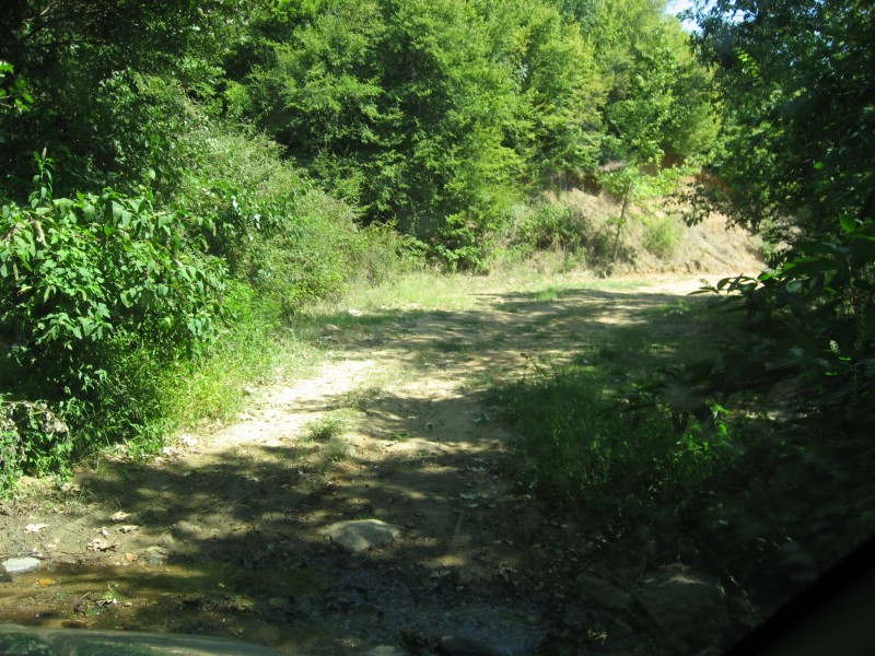 IMG_4188.JPG