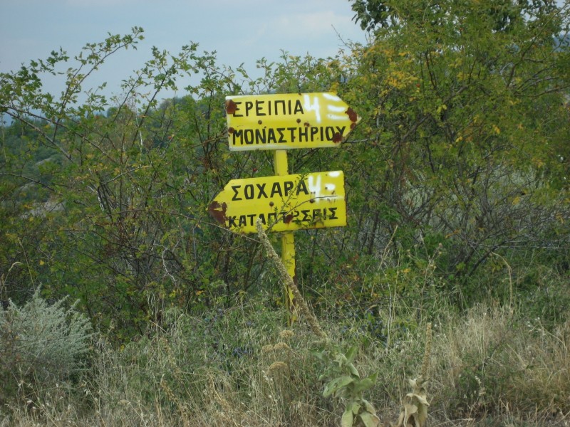 Αντίγραφο από IMG_4259.JPG
