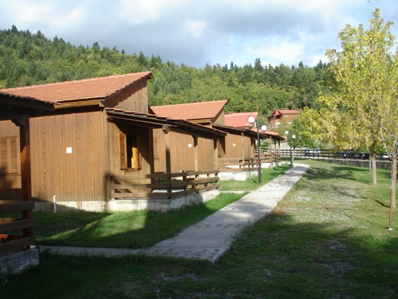 DSC02483.jpg