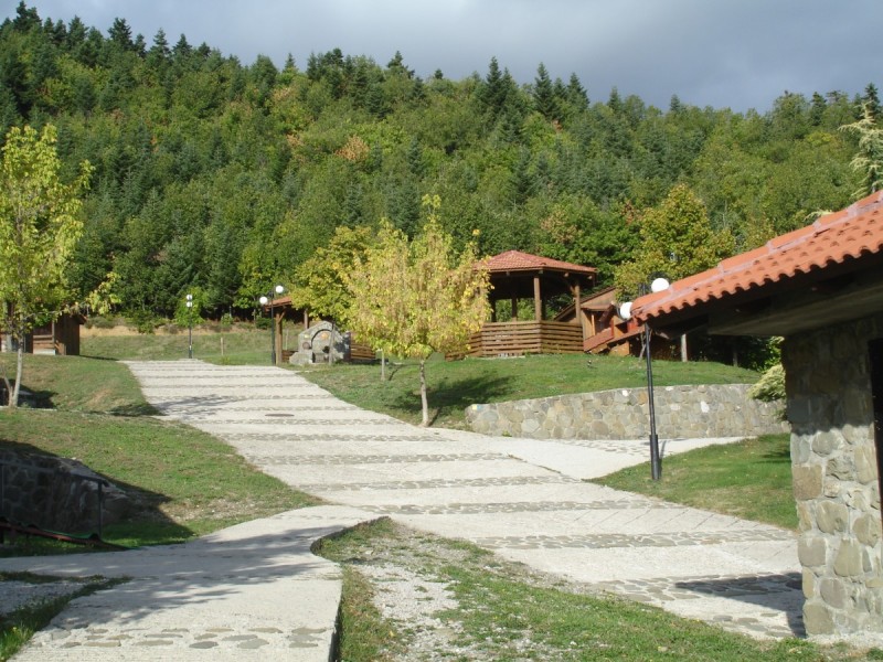 DSC02486.jpg