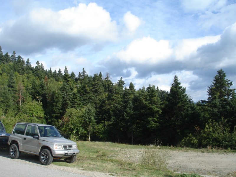 DSC02490.jpg