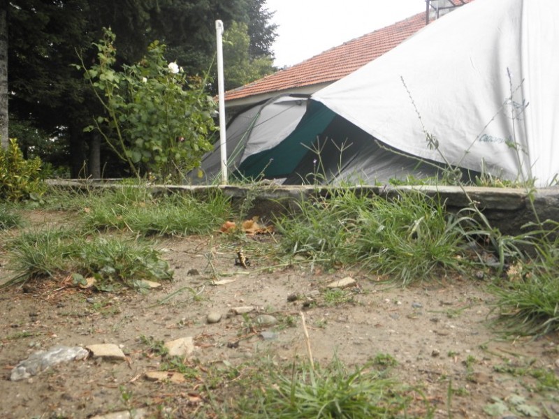 PA130540.jpg