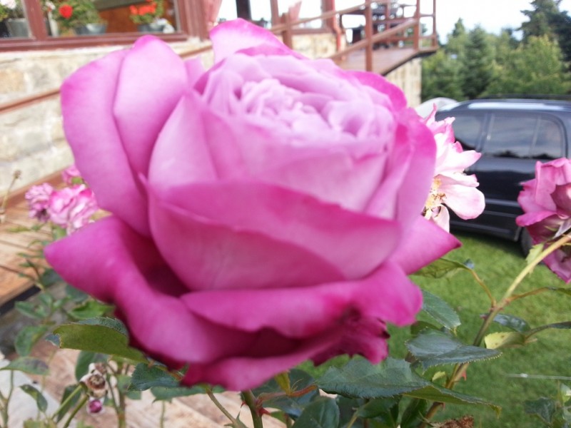 20121013_172811 (Αντιγραφή).jpg