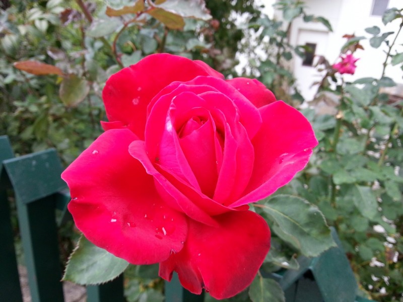 20121014_123223 (Αντιγραφή).jpg