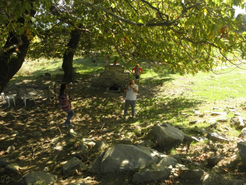 PA210579.jpg