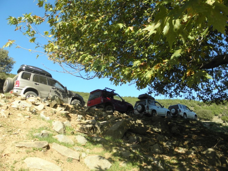 PA210580.jpg