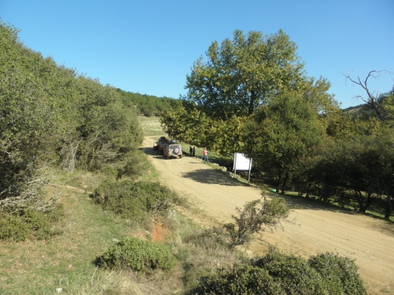 PA210587.jpg