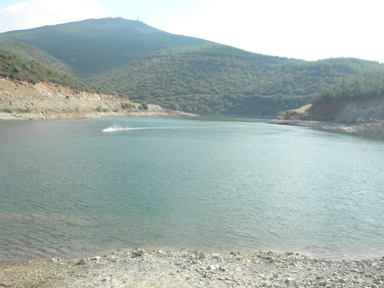 PA210577.jpg
