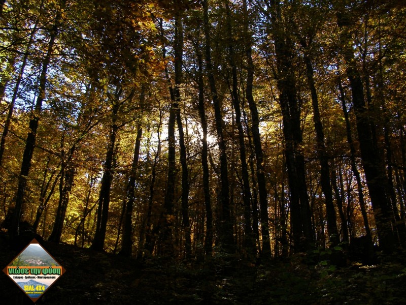 PA212853.JPG
