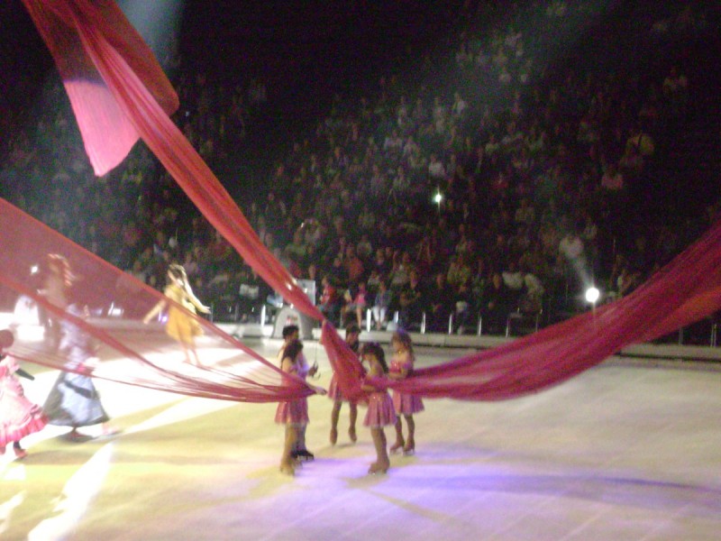 DSC01236.jpg