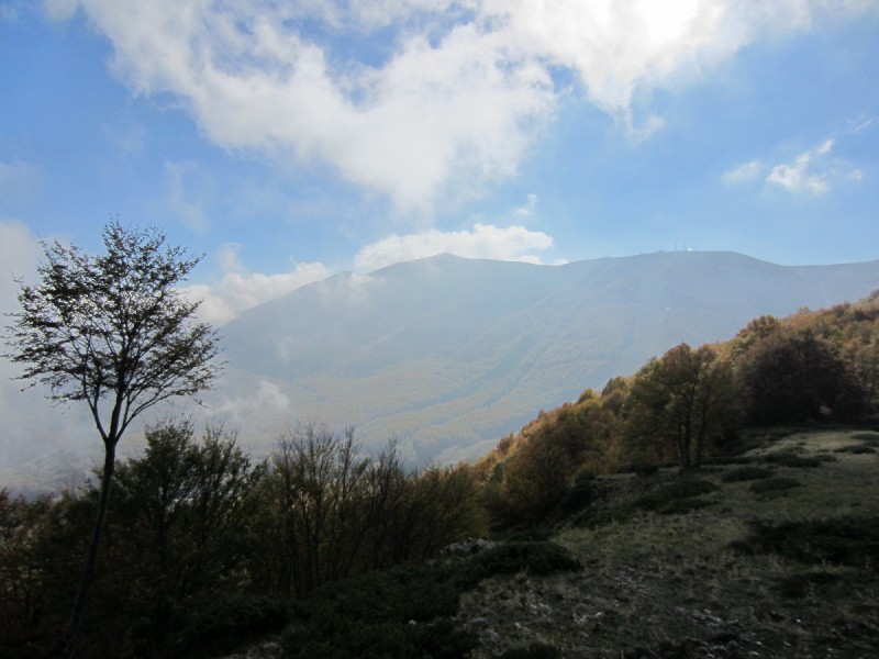 IMG_1180.jpg