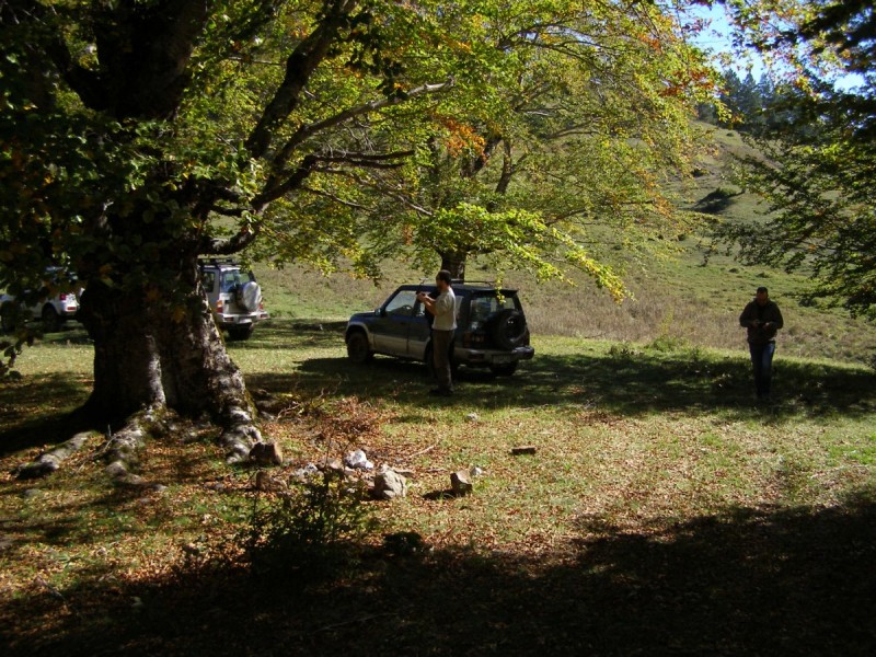 PA202701.jpg