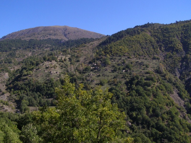 PA202727.jpg