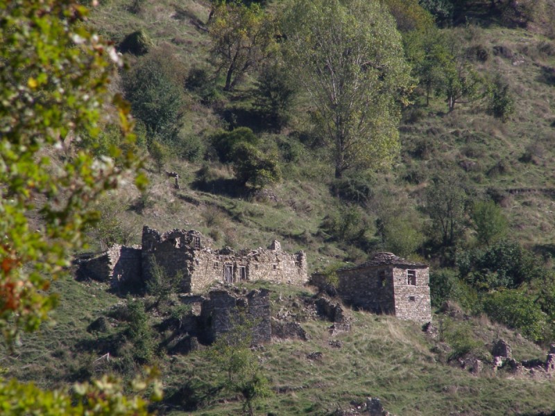 PA202746.jpg