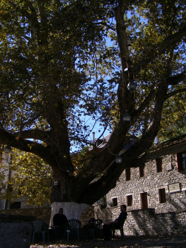 PA202748.jpg