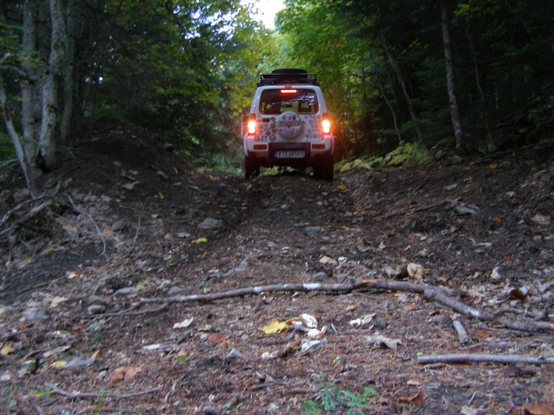 PA202774.jpg