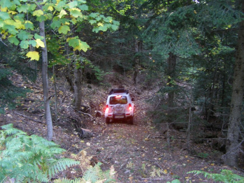 PA202775.jpg