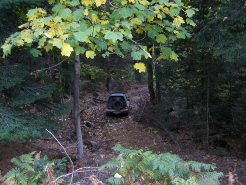PA202778.jpg