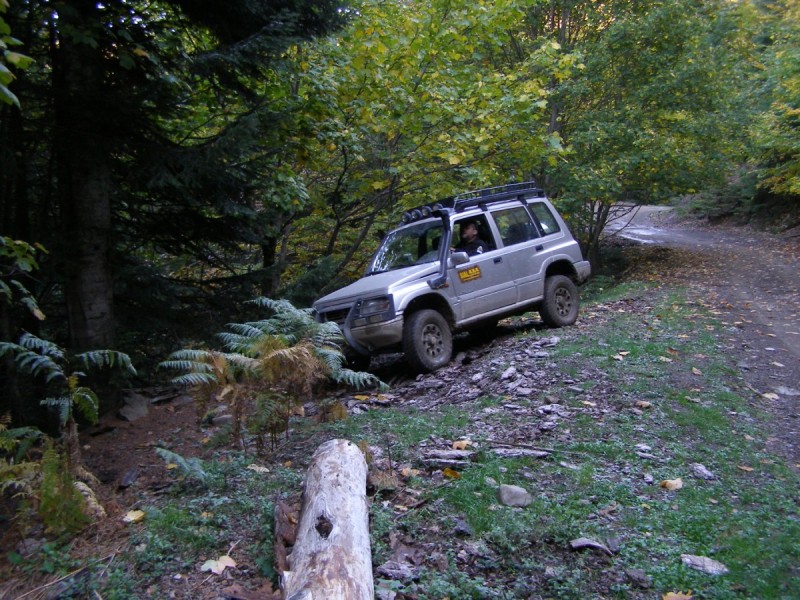 PA202779.jpg